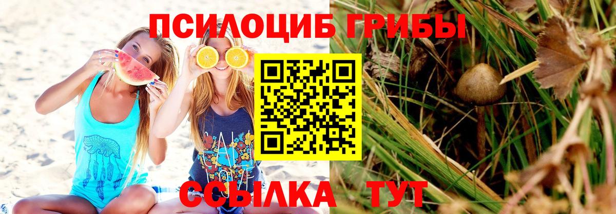 Псилоцибиновые грибы мицелий Менделеевск